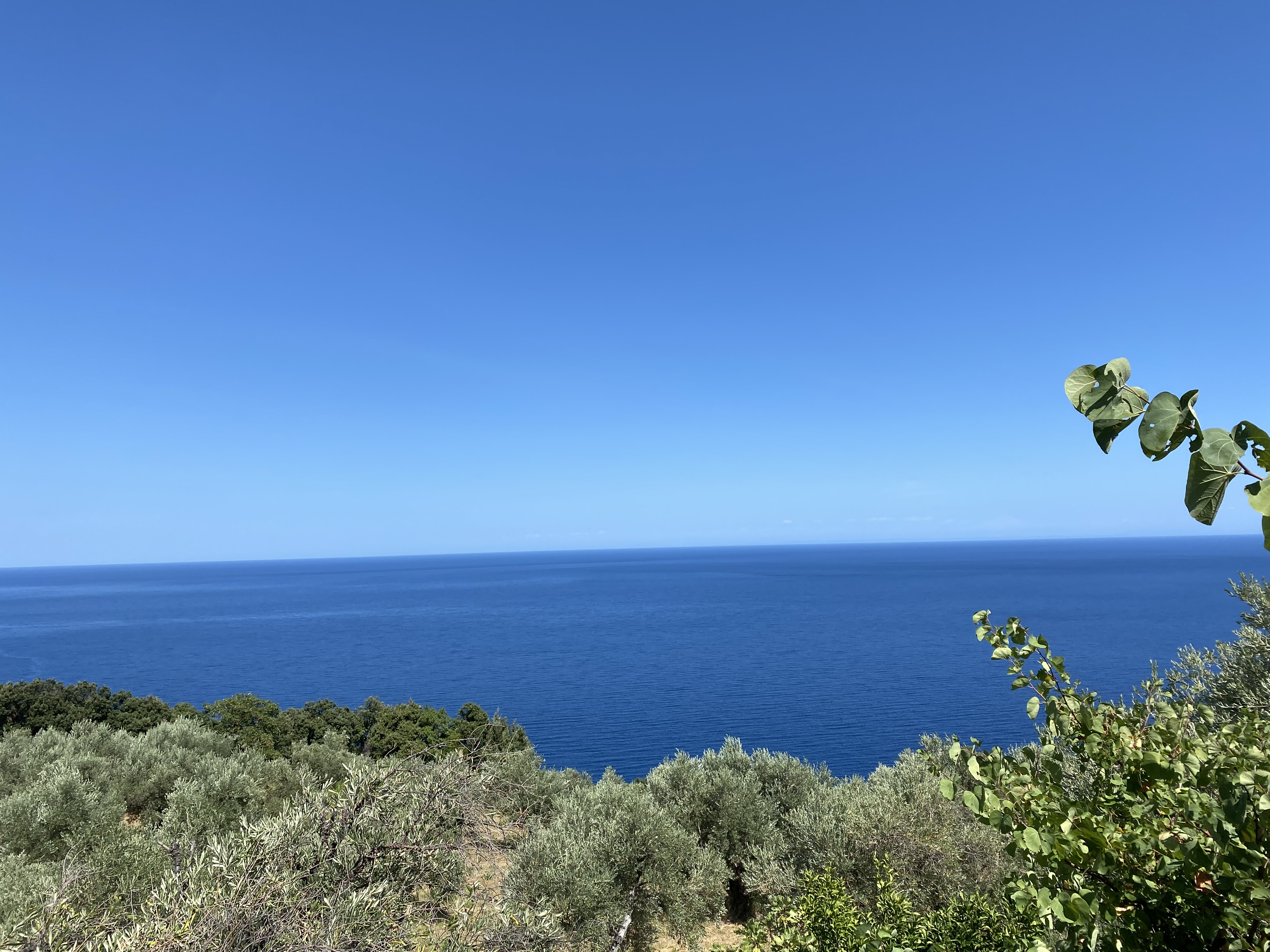 A special offer in Lefokastro!