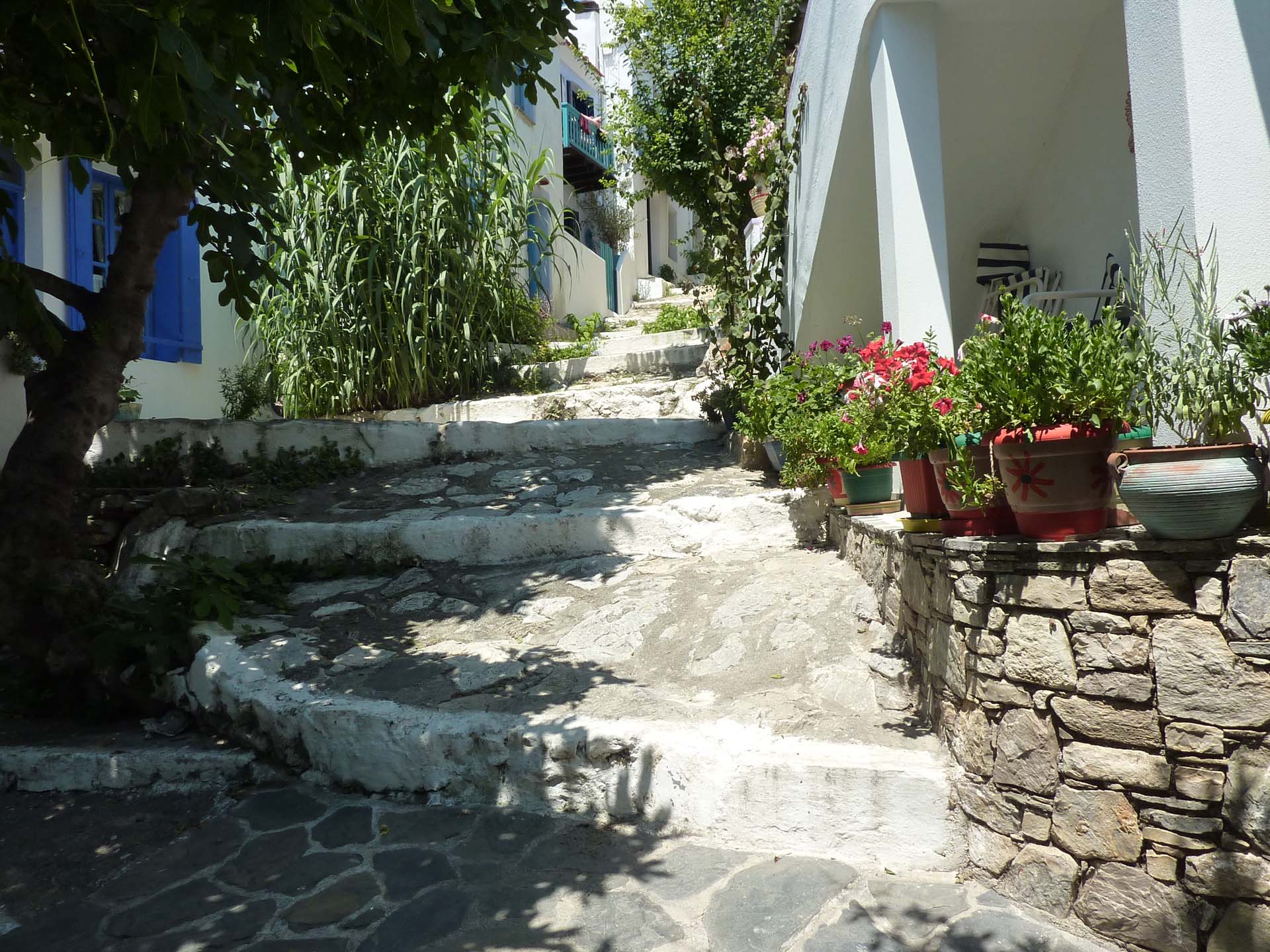 Bildergalerie